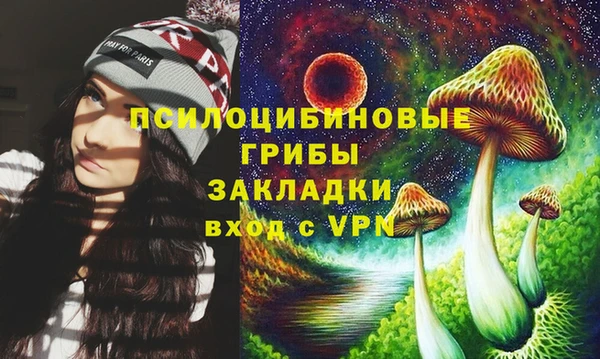 спиды Алексин